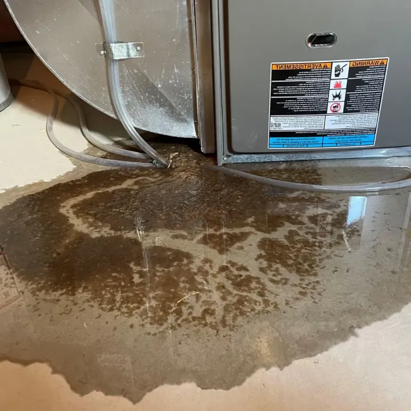 Pipe Burst and Leak Restoration in Gnadenhutten, OH