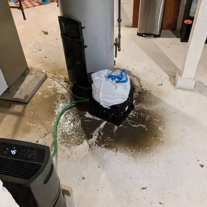 Sewage Backup Cleanup Service in Gnadenhutten, OH